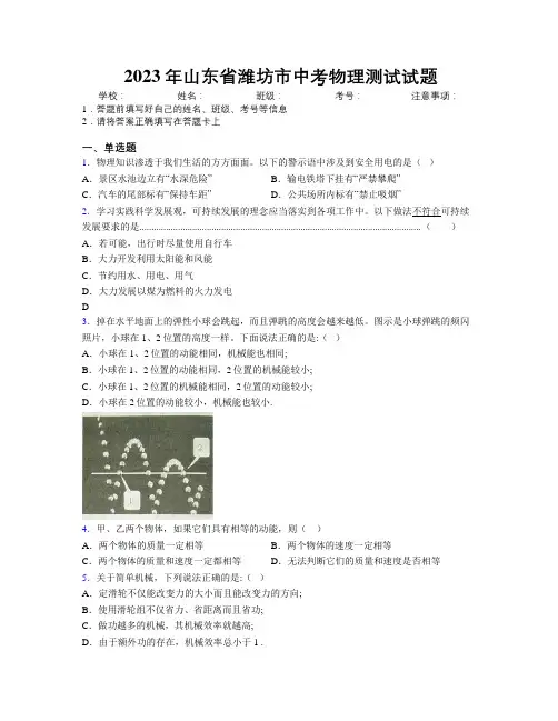2023年山东省潍坊市中考物理测试试题及解析