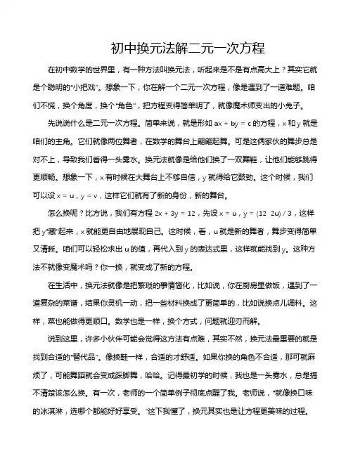 初中换元法解二元一次方程
