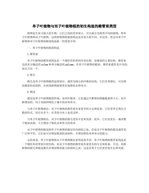 单子叶植物与双子叶植物根的初生构造的维管束类型