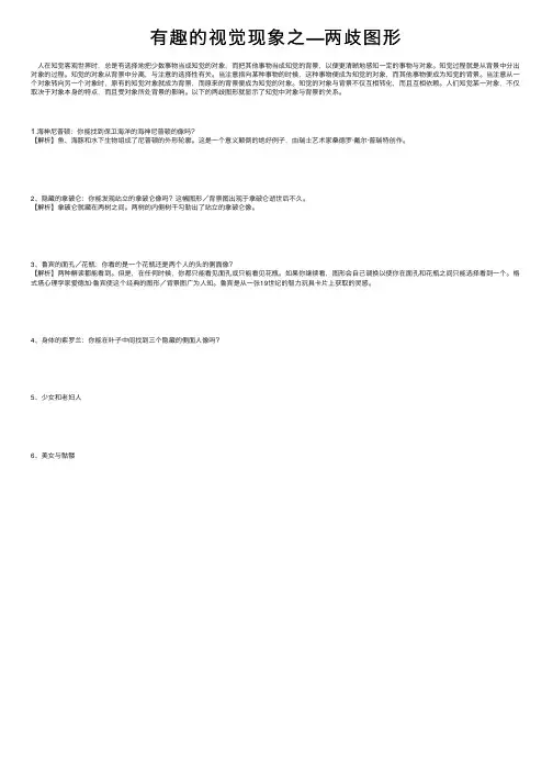 有趣的视觉现象之—两歧图形