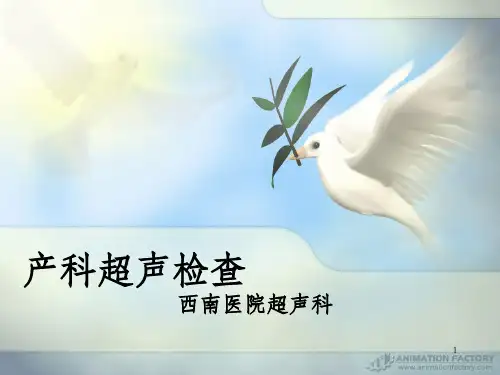 《产科超声检查》PPT课件