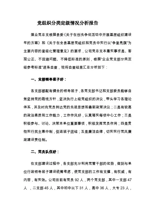 党组织分类定级情况分析报告
