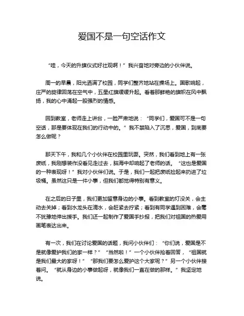 爱国不是一句空话作文