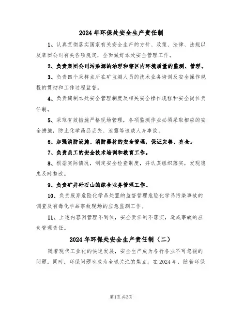 2024年环保处安全生产责任制（二篇）