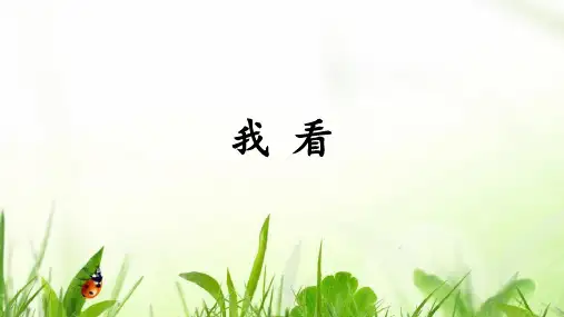 《我看》ppt课件
