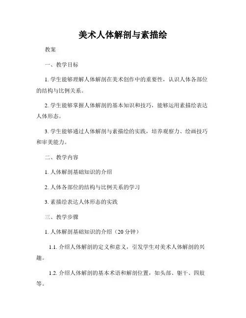 美术人体解剖与素描绘