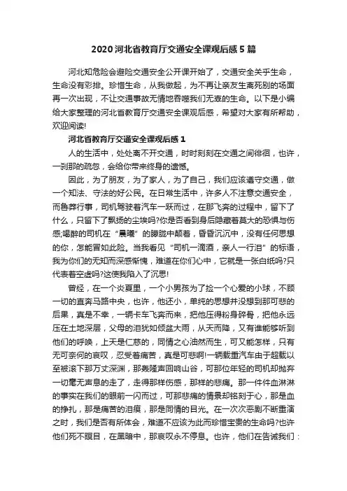 2020河北省教育厅交通安全课观后感5篇