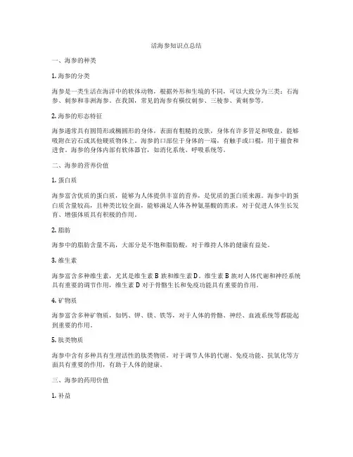 活海参知识点总结