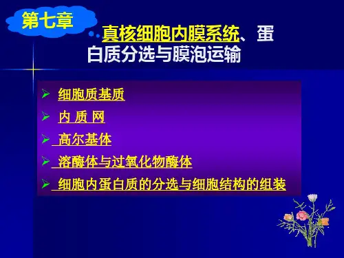 细胞内膜系统