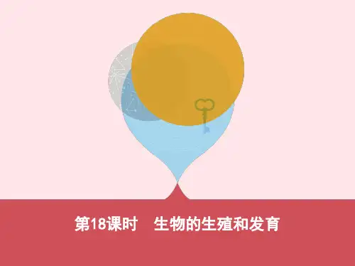 2019年泰安地区中考生物基础过关第18课时生物的生殖和发育复习课件