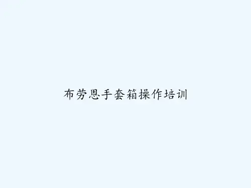 布劳恩手套箱操作培训 PPT