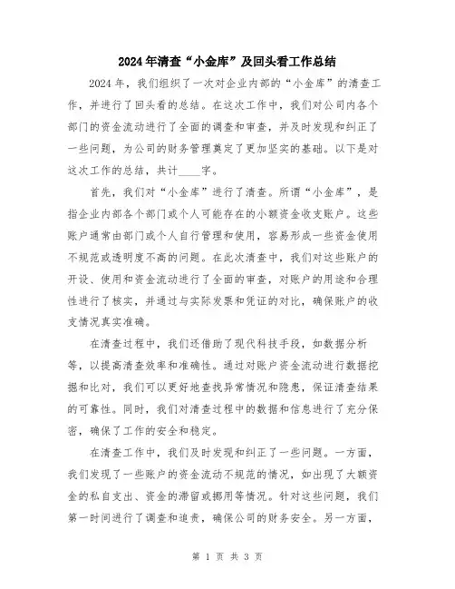 2024年清查“小金库”及回头看工作总结