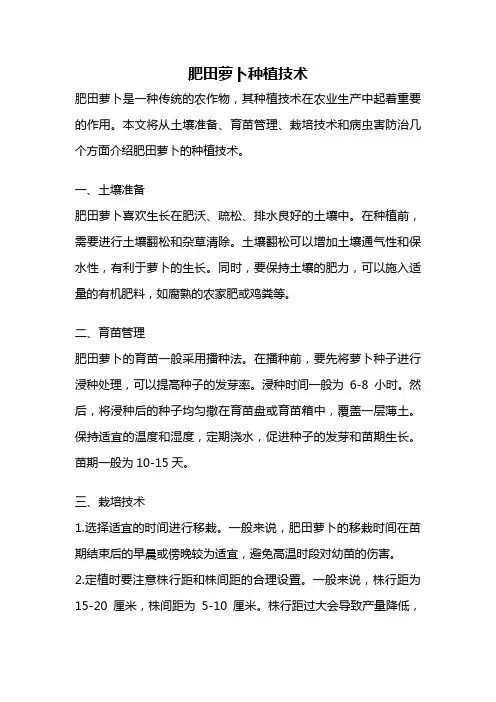 肥田萝卜种植技术