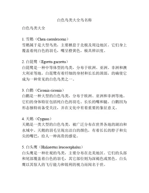 白色鸟类大全鸟名称
