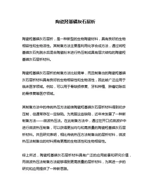 陶瓷羟基磷灰石层析