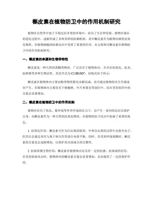 槲皮素在植物防卫中的作用机制研究