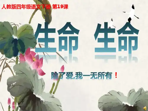 人教版小学语文四年级下册《生命生命》PPT课件