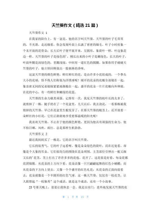天竺葵作文(精选21篇)