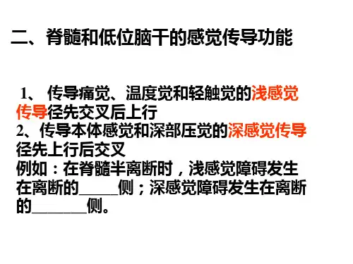 第九章神经系统的感觉功能