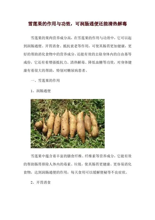 雪莲果的作用与功效,可润肠通便还能清热解毒