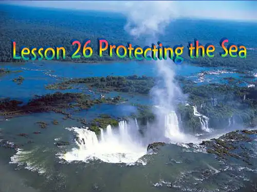 高中英语 Unit7 lesson26 Protecting the sea课件 北师大必修3