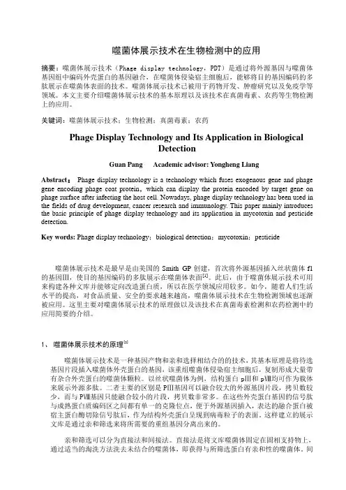 噬菌体展示技术在生物检测上的应用