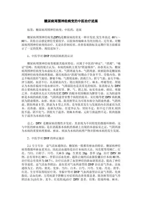 糖尿病周围神经病变的中医治疗进展