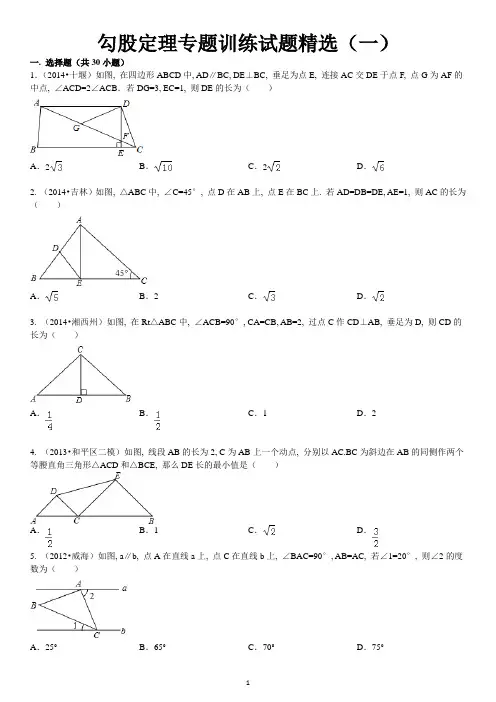 勾股定理专题训练试题精选(一)附答案
