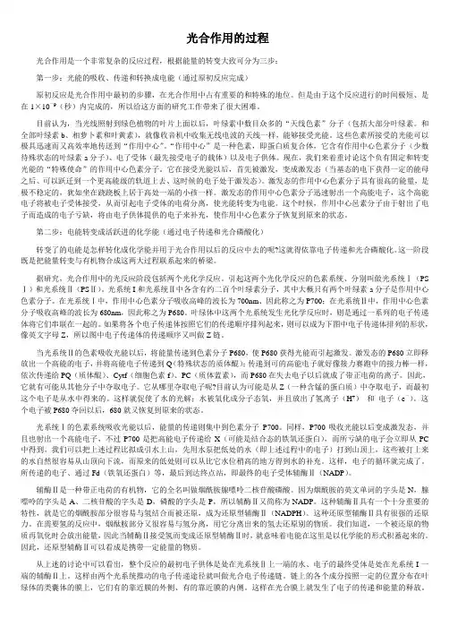 光合作用的过程