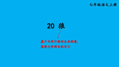 初中语文新人教部编版七年级上册第20课《狼》考点精讲课件(2024秋)
