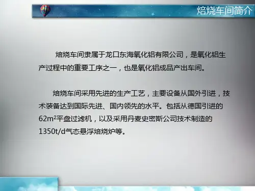 精选焙烧生产工艺培训课件