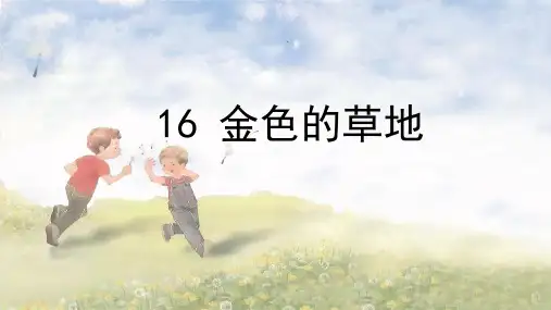 16 金色的草地  PPT课件