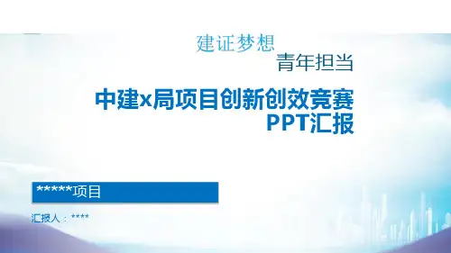 海外项目创新创效汇报PPT材料