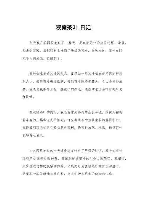 观察茶叶_日记