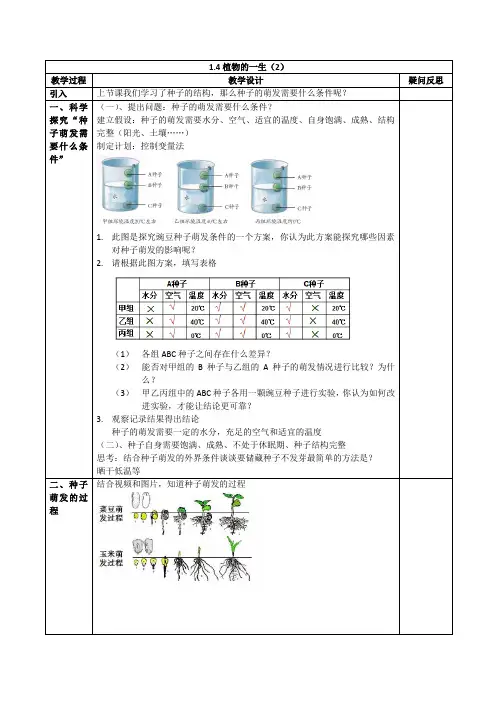浙教版科学七下1.4《植物的一生(2)》表格教案设计