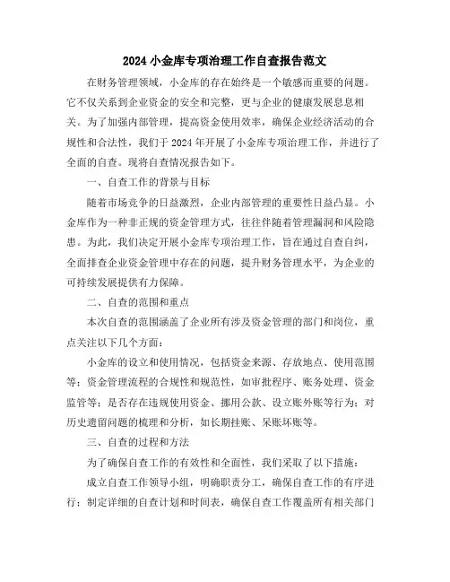 2024小金库专项治理工作自查报告范文