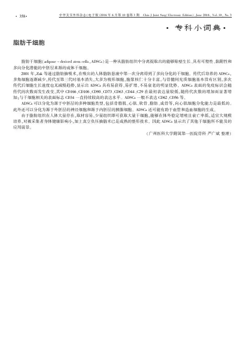 脂肪干细胞