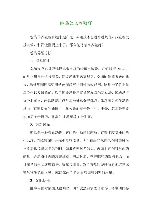 鸵鸟怎么养殖好