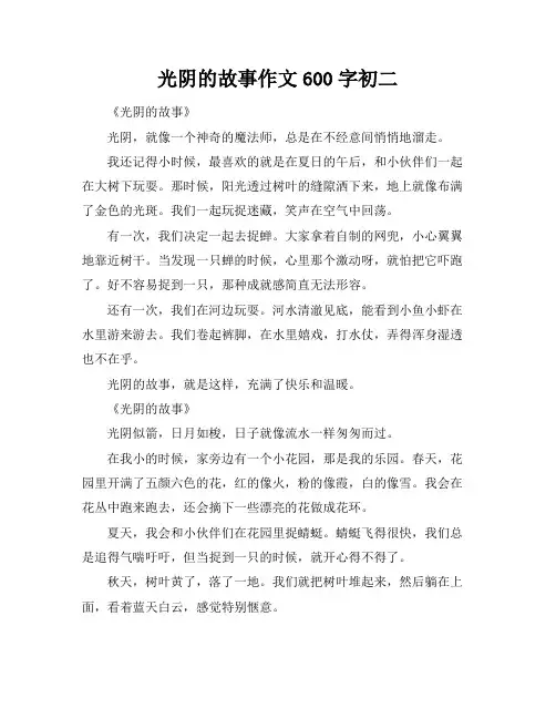 光阴的故事作文600字初二