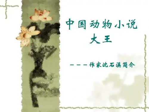 沈石溪