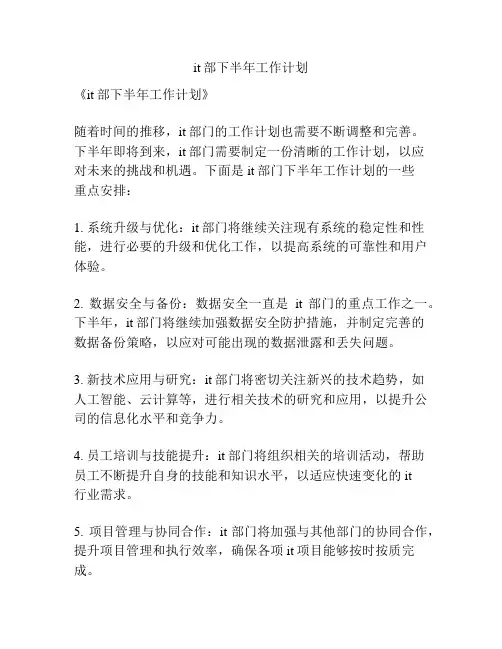 it部下半年工作计划