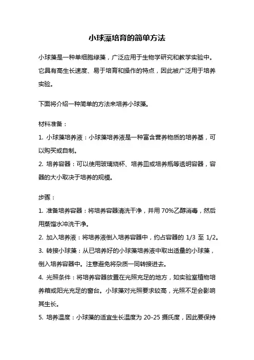 小球藻培育的简单方法