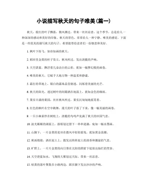小说描写秋天的句子唯美(精选两篇)