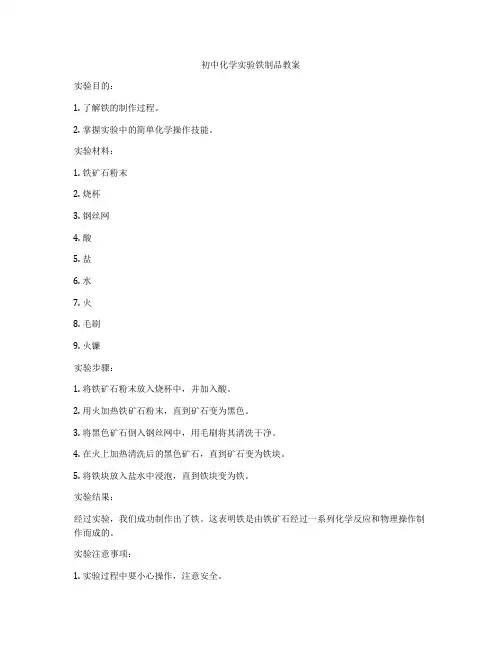 初中化学实验铁制品教案