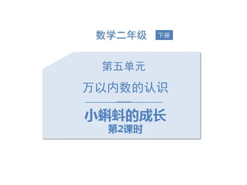 新北师大版二年级下册数学《小蝌蚪的成长》ppt教学课件