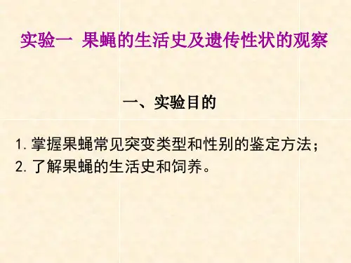 实验1-5果蝇实验