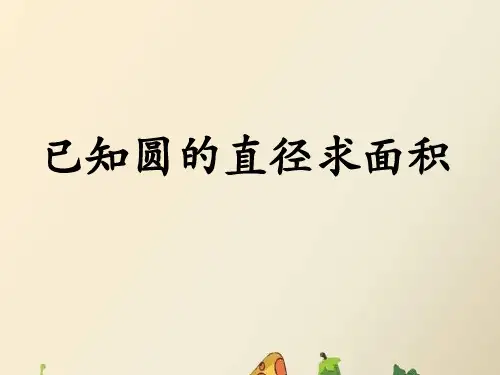 已知直径求圆的面积