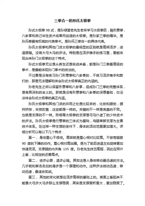 三拳合一的孙氏太极拳
