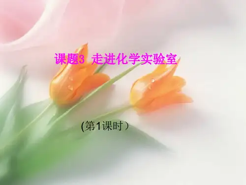 人教版化学九年级上1.3走进化学实验室 课件(共26张PPT)