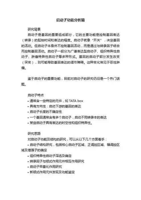 启动子功能分析篇
